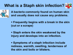 Staph Infection Information