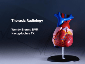 PowerPoint - Cardiovascular Radiology