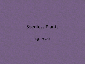 Seedless Plants