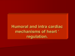 Humoral and intra cardiac mechanism of heart` regulation