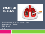 2017 L5 Lung Tumors