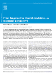 From fragment to clinical candidate—a historical perspective