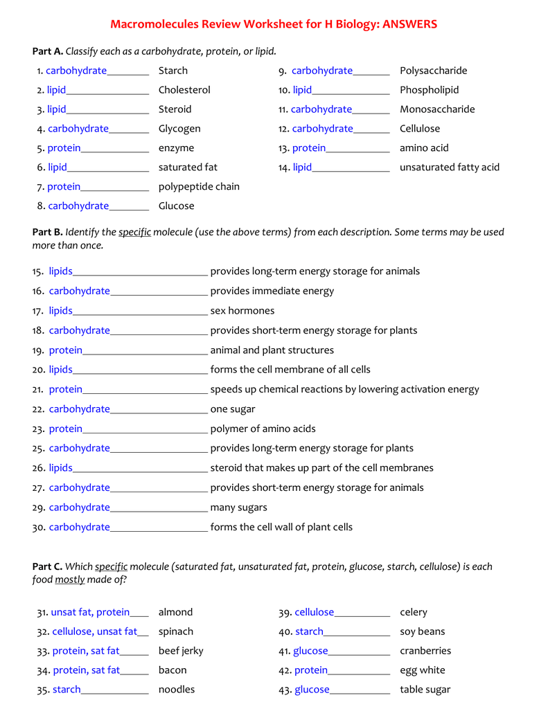 Macromolecules Worksheet Answer Key - Nidecmege Within Macromolecules Worksheet 2 Answers