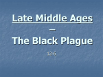 Late Middle Ages – The Black Plague