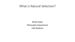 What is Natural Selection?