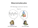 Macromolecules - Van Buren Public Schools