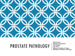 Prostate Pathology