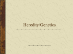 Heredity/Genetics