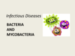 Bacteria and mycobacteria
