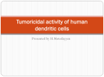 Tumoricidal activity of human dendritic cells