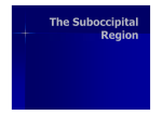 The Suboccipital Region