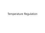 Temperature Regulation