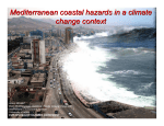 Mediterranean coastal hazards in a climate change context