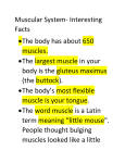 7-3 Human Body Amazing Facts