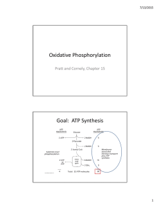 Oxidative Phosphorylation Goal: ATP Synthesis