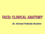 03-Clinical anatomy of face