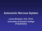 Autonomic Nervous System - University of Houston College of