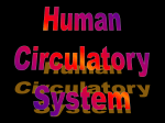 Circulatory System Power point Powerpoint