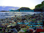 Marine Sediments - Rudy Marmolejo`s E