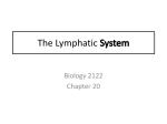 PP Chapter 20-Lymphatic System