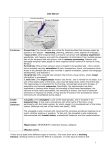 Cerebrum