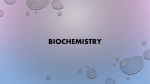 Ppt. 7 (Biochemistry)