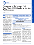 Evaluation of the Levator Ani And Pelvic Wall Muscles in