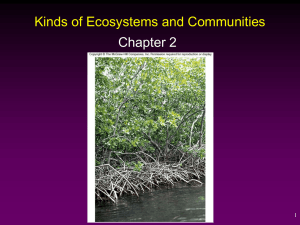 KINDS OF ECOSYSTEMS AND COMMUNITIES