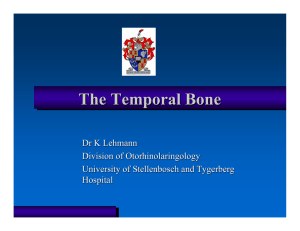 The Temporal Bone - Stellenbosch University