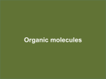 Organic molecules - Napa Valley College