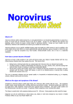 Norovirus Fact Sheet MCH