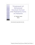 Treatment of Advanced Cervical Cancer and Palliative Care of