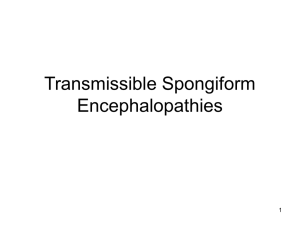 Transmissible Spongiform Encephalopathies