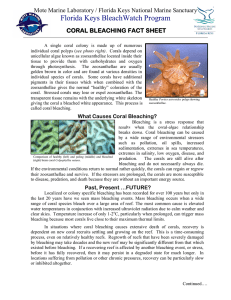 What is Coral Bleaching - Mote Marine Laboratory