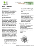 heart failure - Chinese Community Health Resource Center