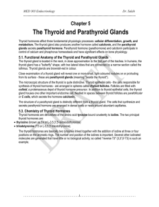 The Thyroid and Parathyroid Glands