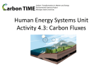 4.3 Carbon Fluxes PPT