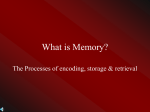 What is Memory?