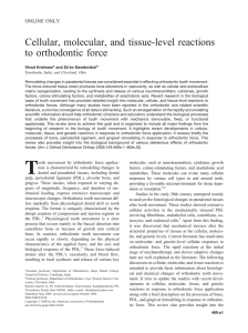 Cellular, molecular, and tissue-level reactions to orthodontic force