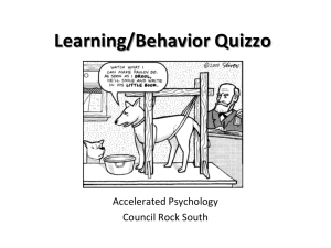 Learning/Behavior Quizzo - Knob