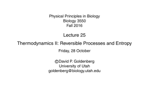 slides - Biology Courses Server