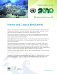 Marine and Coastal Biodiversity