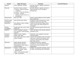 Human Organ Systems