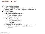 Muscle/Nervous tissue - Nutley Public Schools