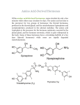 Amino Acid-Derived Hormones