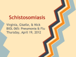 Schistosomiasis