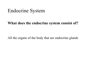 Endocrine System