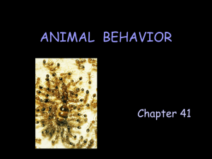 Chapter 43 PowerPoint