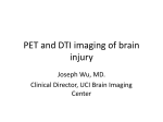 PET and DTI imaging of brain injury