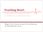 File - Teaching Heart Model